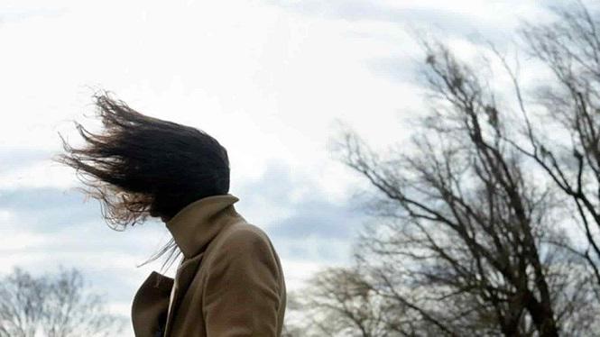 viento2