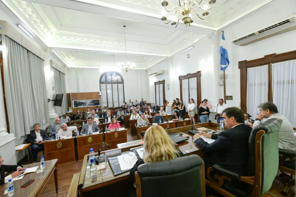 senado