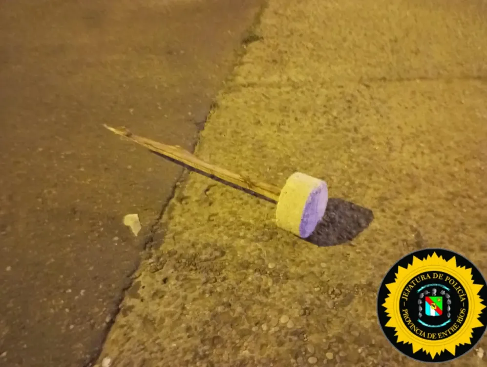 f97e7197-d2b9-4c1f-9878-29f4e8a7995b