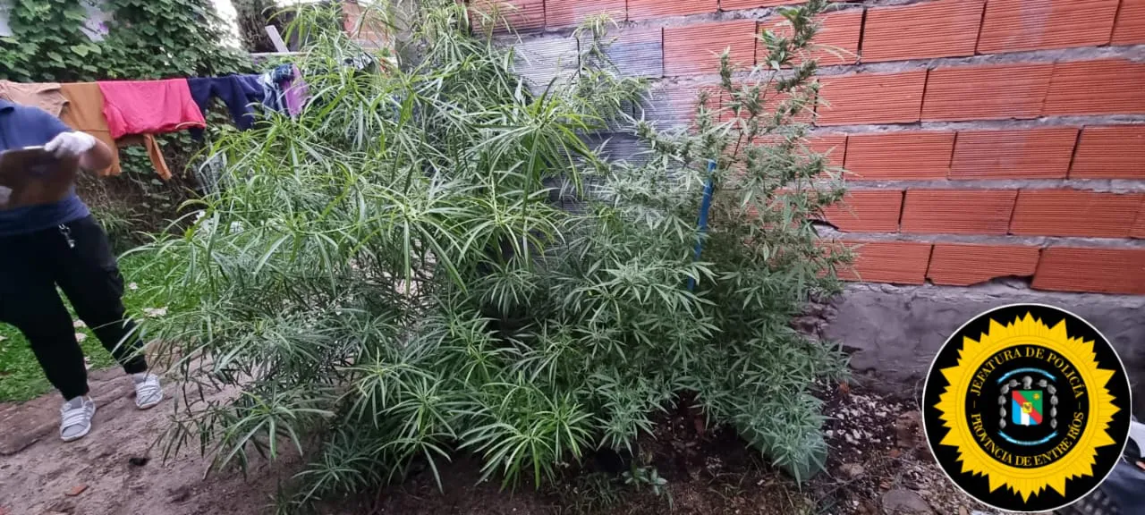 Operativo - 12 allanamientos - cria. cuarta (6)