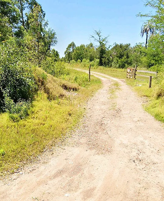 4881523e-b957-42fe-bebb-81cb570d94a6