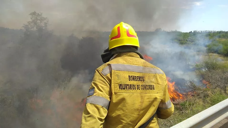 Incendio ingreso a Concordia 01