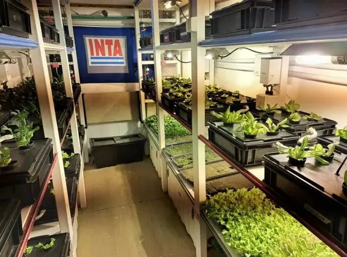 inta hidroponia