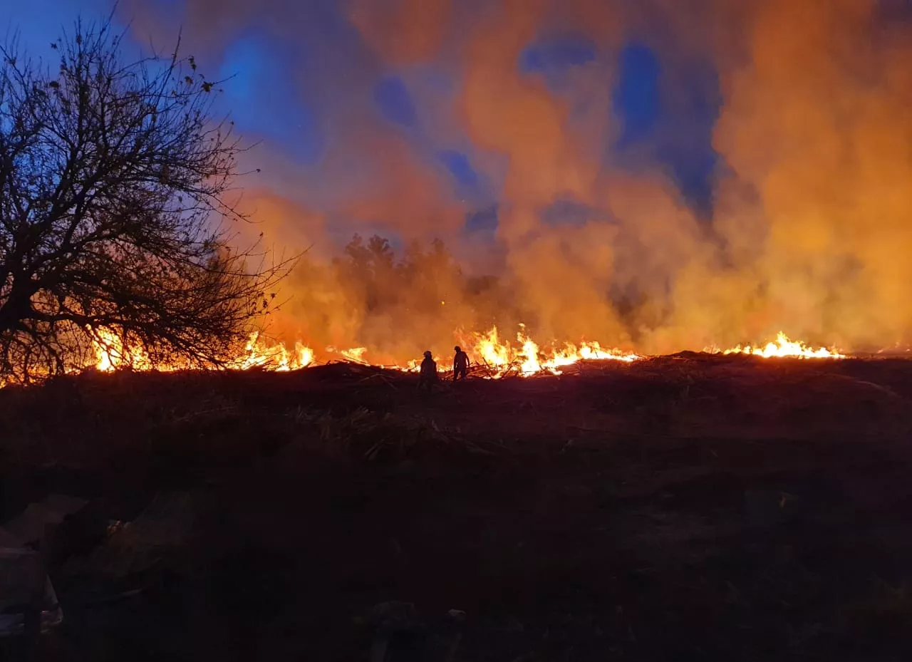 INCENDIO LADRILLEROS (2)