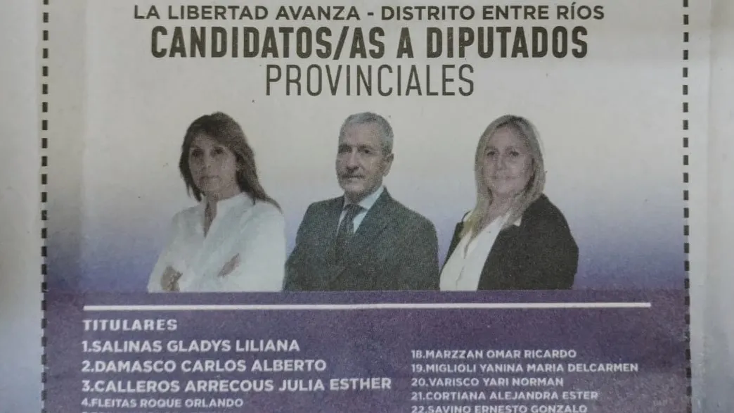 diputados