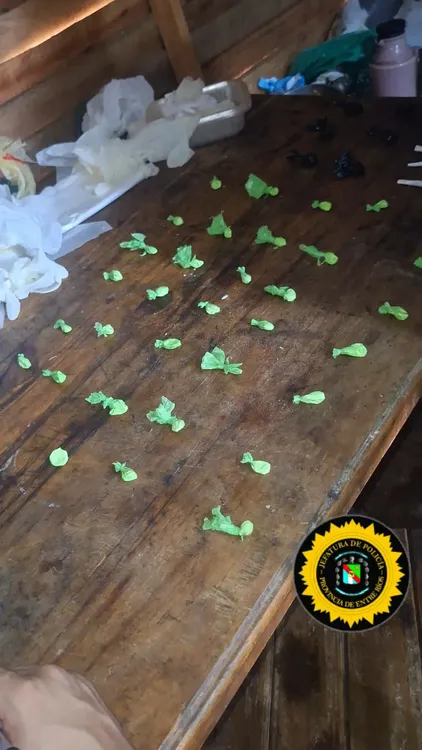 08f06b76-fc15-491e-834e-e2394f67c251