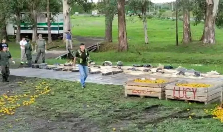 Marihuana y mandarinas sobre ruta 14